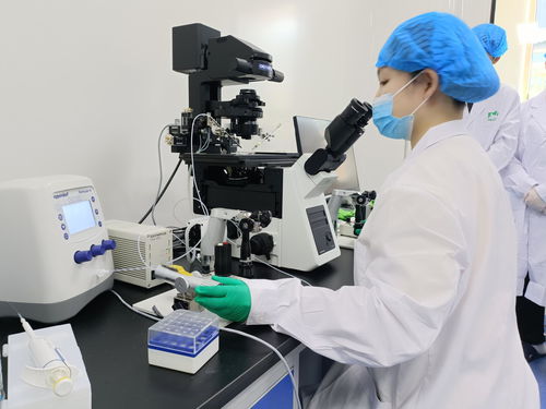 创新驱动引领发展，庆阳科技创新量质齐升——以视力保健仪技术开发为例